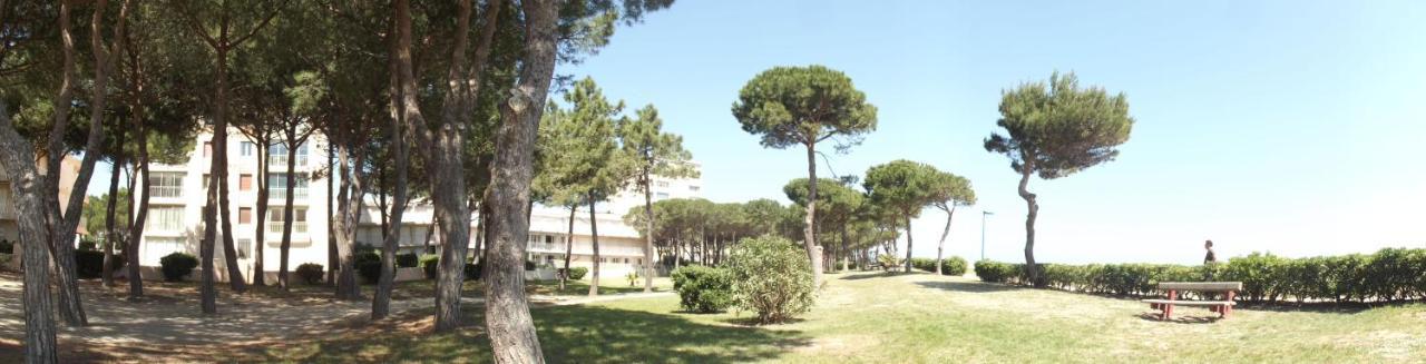 Le Belvedere 2 - Acces Direct Plage Argelès-sur-Mer Kültér fotó